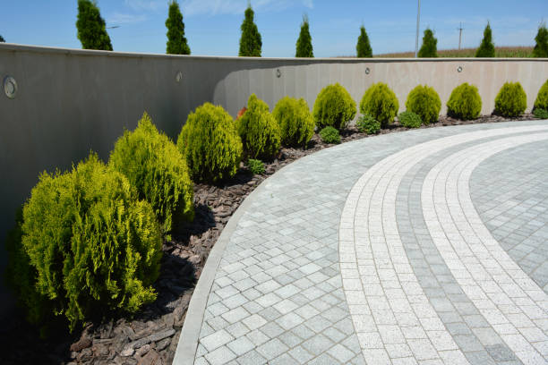 Best Driveway Paving Near Me  in Magnolia, MS